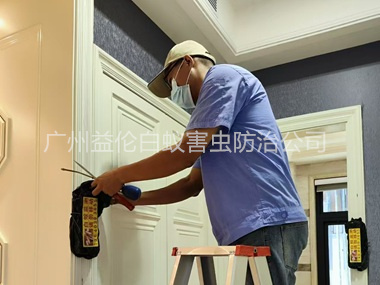 花都住宅白蚁防治工程