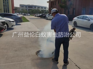 新华登革热防控消杀工程